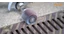 Lamellás csiszolókorongok Wheely rácshoz